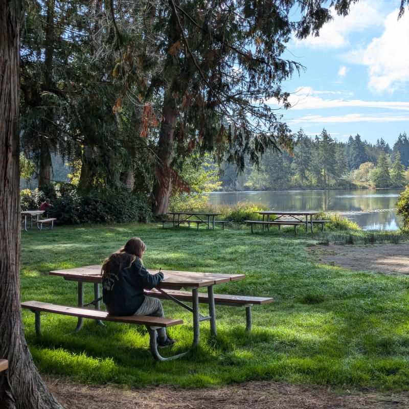 A student reading at a picnic table beside a lake